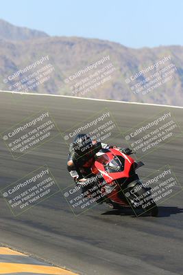 media/May-13-2023-SoCal Trackdays (Sat) [[8a473a8fd1]]/Bowl (840am)/